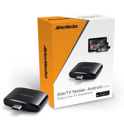 Avermedia AverTV Mobile 310