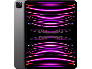 Comprar Apple iPad Pro 11 '' 2022 Wifi 1TB Space Grey MNXW3TY/A Apple iPad Pro 11 '' 2022 Wifi 1TB Space Grey MNXW3TY/A