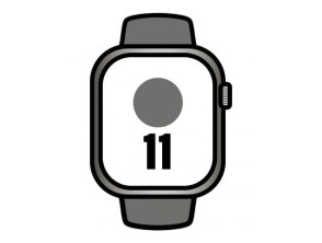 Titanio Natural Apple Watch Series 11 46mm GPS/ Cellular com Correa Desportiva Cinza Pedra M