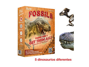 Conjunto Bresser Conjunto de Fósiles Roctar