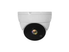 Câmara CCTV 1080P AHD HDTVI HDVCI CVBS Level One Domo Tipo Exterior e Interior ACS-5302