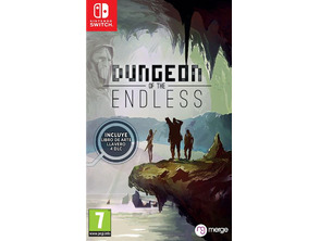 Dungeons of the Endless Switch