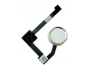 Reposto Botão Flex iPad Air 2 Gold