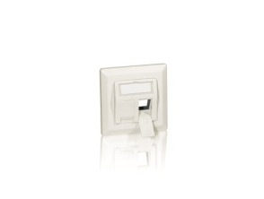 Comprar MARCO ROSETA 50 X 50 CONECTORES KEYSTONE 45o BLANCO - Equip RJ45 MARCO ROSETA 50 X 50 CONECTORES KEYSTONE 45o BLANCO - Equip RJ45