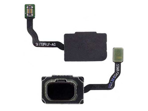 Comprar Reparaçao Botão Home com Membrana Samsung Galaxy S9/S9 Plus - Preto Reparaçao Botão Home com Membrana Samsung Galaxy S9/S9 Plus - Preto