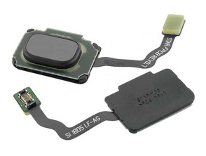 Comprar Reposto Botão Home com Membrana - Samsung Galaxy S9/S9 Plus Grey Reposto Botão Home com Membrana - Samsung Galaxy S9/S9 Plus Grey