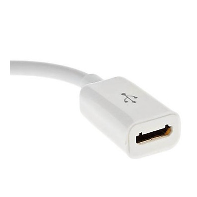 Cabo microUSB a Lightning para iPhone 5/iTouch/iPod Nano/iPad