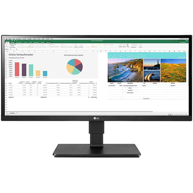 Monitor Ultrapanorámico Profesional LG 229BN650-B 29 " Multimídia