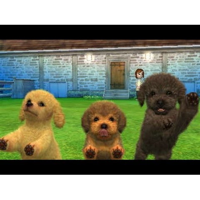 Nintendogs + Cats: Caniche (Classics) 3DS