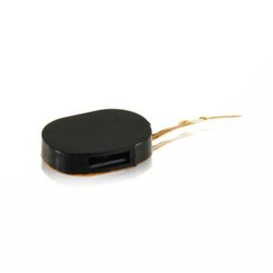 Reparaçao Buzzer Ringer for iPhone 2G