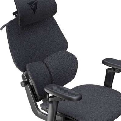 Cadeira Gaming Ergonómica TX3 (ThunderX3) FLEX Pro - Lofo Dark Grey