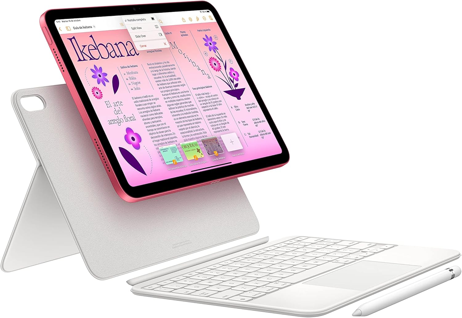 Apple iPad 10ª Gen. 10,9