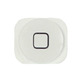 Reparaçao botão Home iPhone 5 Branco