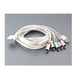 Cabo componentes para iPhone/iPad/iPod