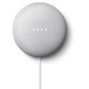 Alto-falante Google Nest Mini 2ª Geração Giz