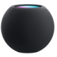 Altavoz Loja Apple HomePod mini Gris Loja