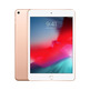 Apple iPad Mini 5 Wifi 256 GB OURO MUU62TY/A