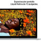 Apple Macbook Neo (2026) 13" A18 Pro 8GB RAM 256GB SSD Prata