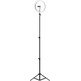 Aro de Luz Profesional Mars Gaming MGRING 10,2 ''
