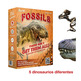 Conjunto Bresser Conjunto de Fósiles Roctar