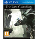 Playstation 4 Slim (1Tb) + The Last Guardian