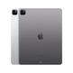 iPad Pro 2022 12,9 '' M2 2 TB Wi-Fi + Gris fixo