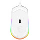 Ratón MSI Clutch GM11 Branco