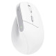 Rato Vertical Inalámbrico Trust Bayo II Recargable 2400 DPI