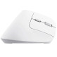Rato Vertical Inalámbrico Trust Bayo II Recargable 2400 DPI