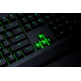 Teclado Razer Blackwidow Green Switch